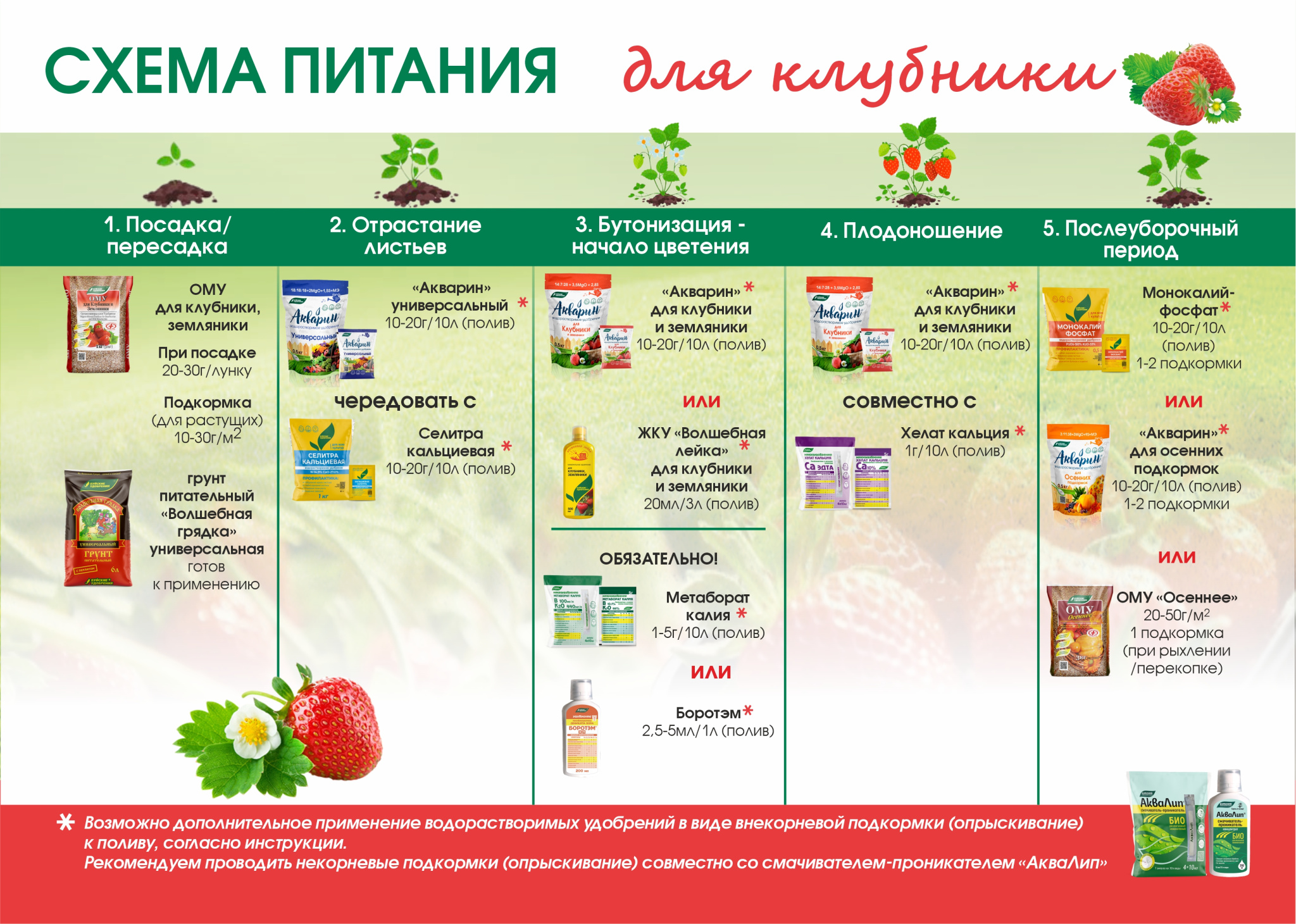 для клубники.jpg