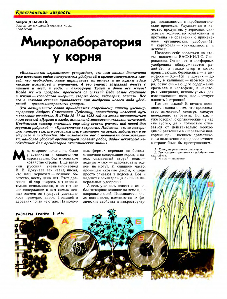 Дебелый А. Микролаборатория у корня стр 1.jpg